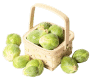 cabbage-basket