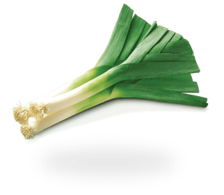 Leek