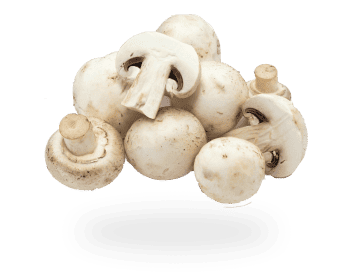 Mushrooms