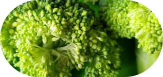 vegetables